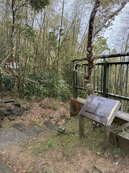 20260406[公車]雲嘉連峰-二尖山+馬鞍山+梨子腳山+太平山+太平山西峰3031086