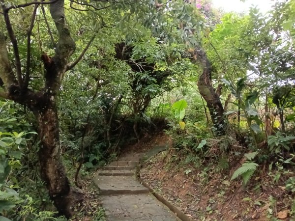 內湖區大湖公園+白鷺鷥山2931145