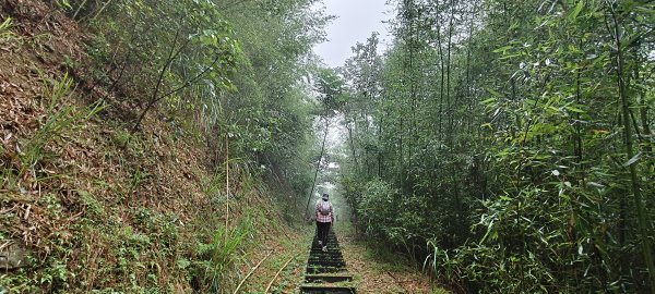 2025/04/25_苗栗鐘樓古道2771177