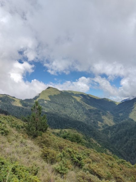 🐟合歡溪步道上 ⛰️合歡西峰✨1813514