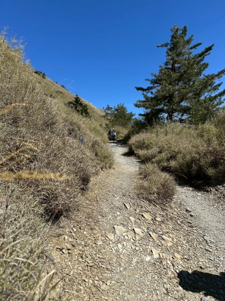 小奇萊步道2777614