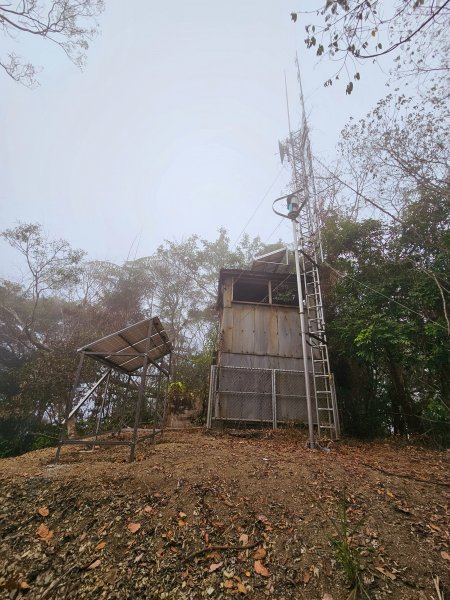 小百岳集起來-西阿里關山2185087