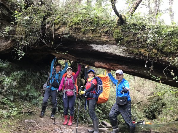 雪白山、西丘斯山、司馬庫斯越嶺古道下100林道1418221