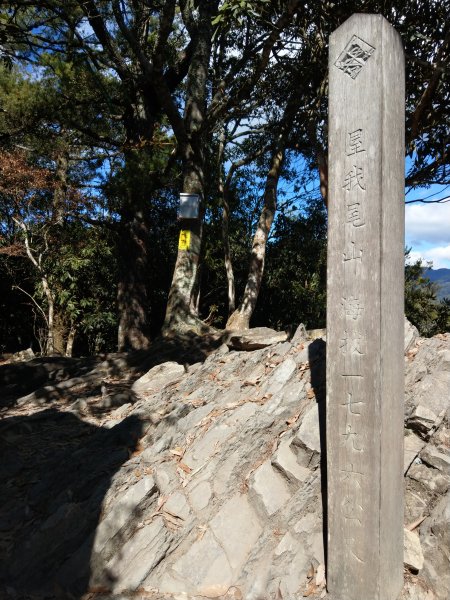 新手獨登-台中谷關七雄之屋我尾山（大雪山林道登山口）