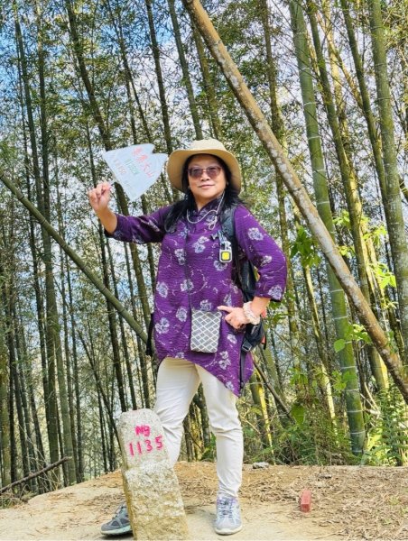 集集大山(小百岳#50）野店吃小吃2972039