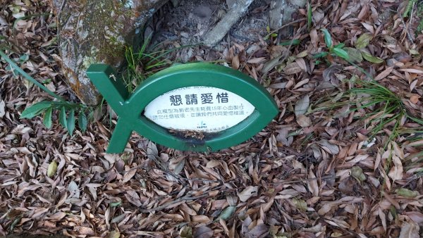 〔內湖三尖 〕忠勇山，鯉魚山，圓覺尖2118072