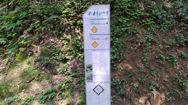 2026樟之細路 | 第一大段 | 三坑~關西 | RSA01~113041145