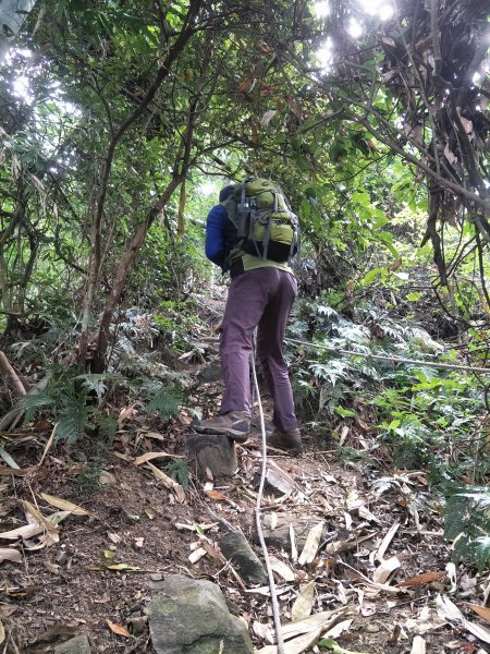 2019 10 29 三腳南山登山步道717738