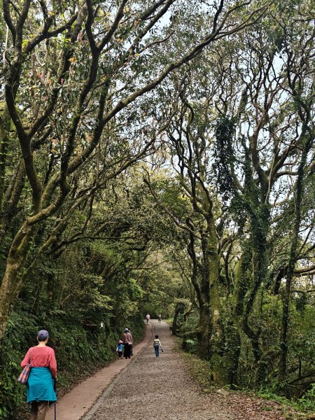 2026-0323 台北大縱走第一段3022613