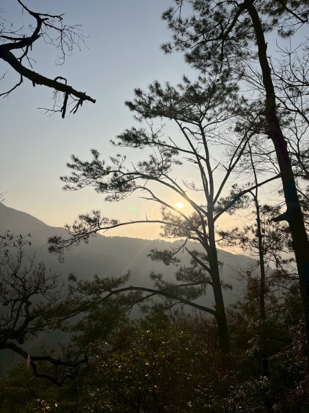 2026/02/08馬崙山3008169