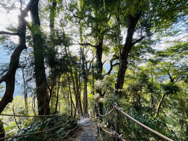 1141129巨人之手｜雪山坑登山步道2949158
