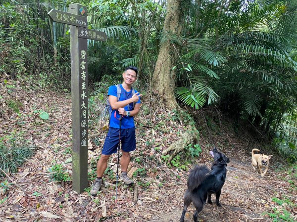 枕頭山.水火同源.關子嶺.蓮花公園【吃荷玩勒在白河】2163327