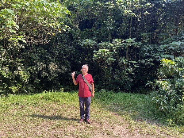 [百山百鳥尋旅-04/15] 2025_0817 龍過脈森林步道2863246