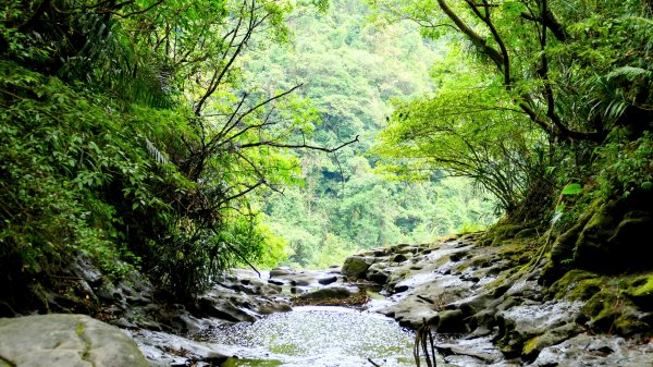 三貂嶺瀑布群,野人谷瀑布群2832513