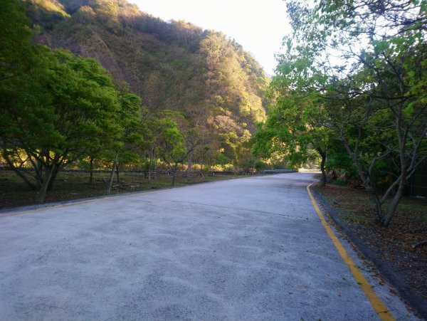 虎山 由易到難 漸進式 健身步道855698