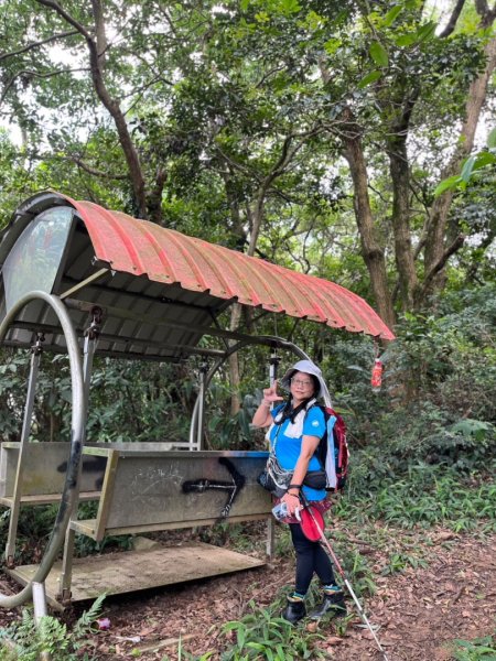 桃園五酒桶步道走南崁山-五酒桶山-山鼻山-獅仔頭山2847998