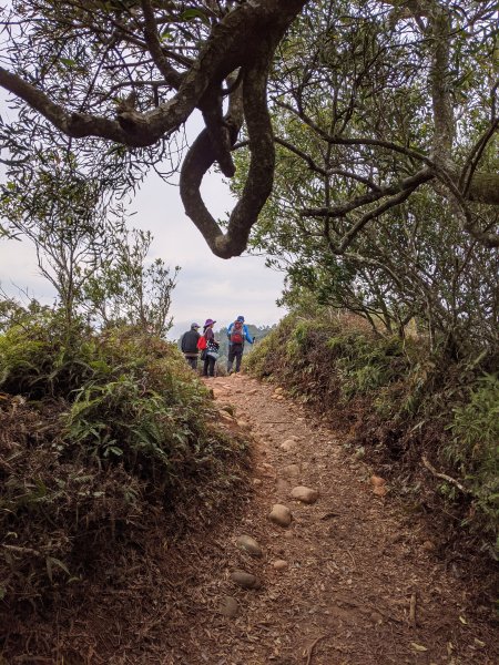【苗栗-小百岳】全台步道票選冠軍 火炎山819927
