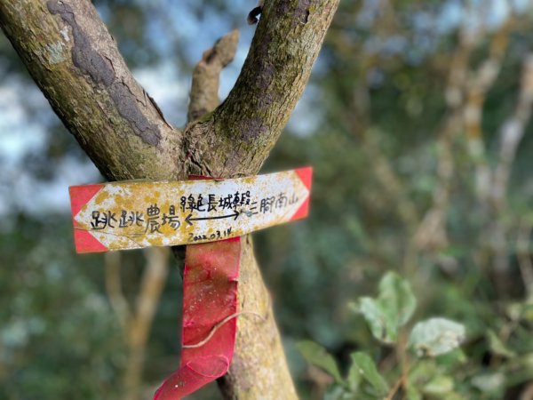 小百岳 三腳南山2686579