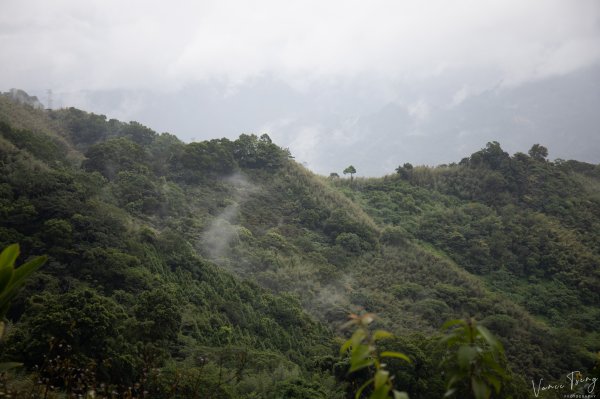 樟之細路E段 (出雲古道+出關雲崠段)726441