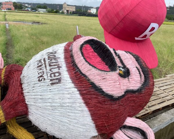 桃園大溪-花彩節🌼李騰芳古厝-月眉落雨松2934765