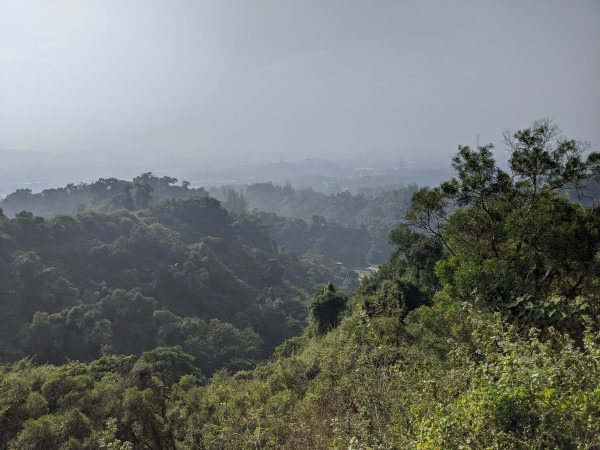 【高雄-小百岳】觀音山_稜線連峰O型縱走796549