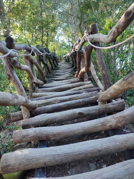 小百岳/頭嵙山 大坑四號1859533