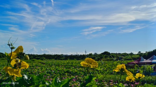 雲山水花鳥蝶 - 天龍國阿伯的日常7/162551898