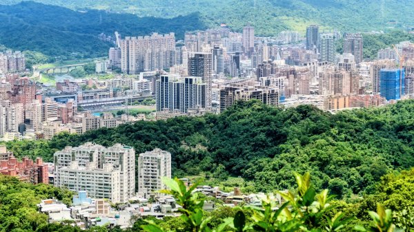 致敬時間的股東3088029