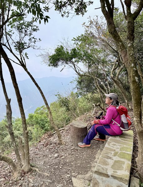 大漢林道登山趣(力里山.具馬奴山.崁頭窩山)  2026.3.283028037