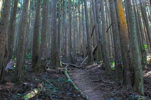 五峰民都有山177811