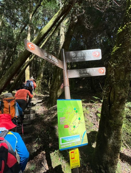 觀霧-檜山巨木群步道2925586