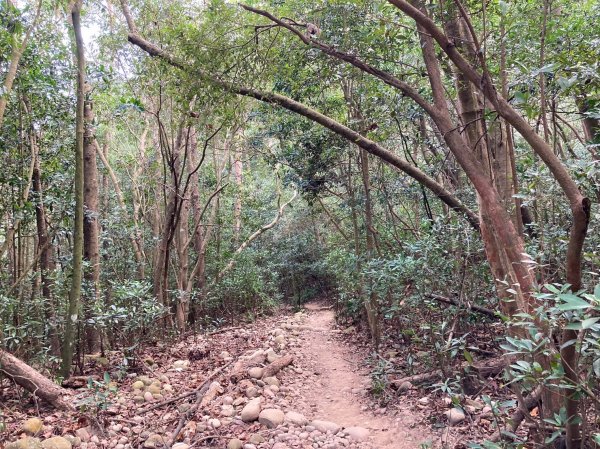 火炎山登山步道2386038