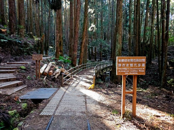 特富野古道-2024嘉遊好步道．來嘉走走2674370