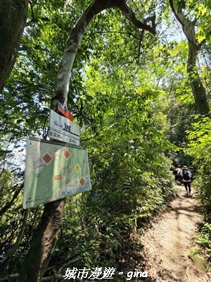 【桃園大溪】溪洲山步道(福山巖登山步道)3057145