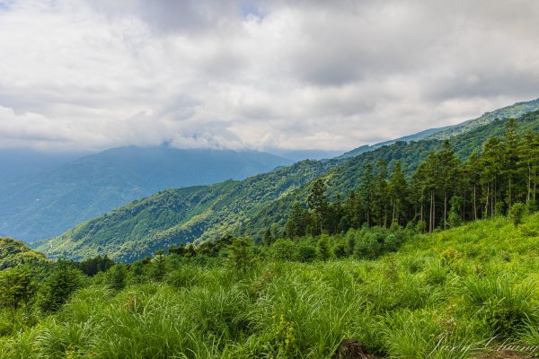 [新竹]鵝公髻山2555243