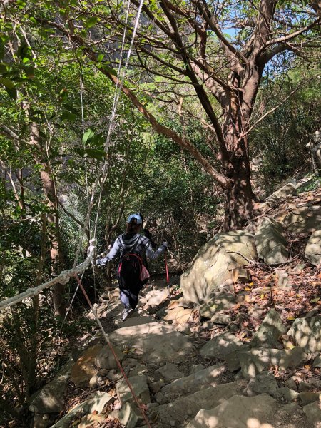 2020.03.08里龍山878274