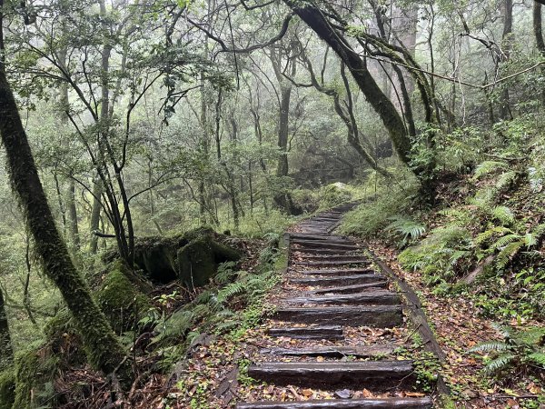 [玉山尋寶任務-01/12] 2025_0726 庫哈諾辛山登山步道2847387