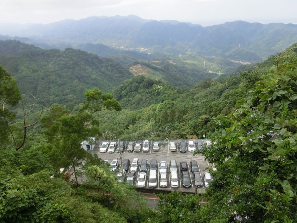 仙山．蓬萊溪護魚步道452532