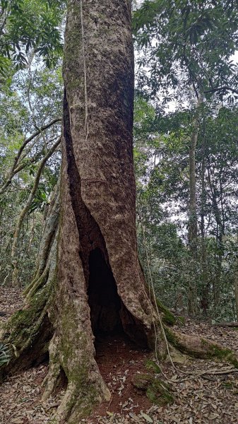 網子山、鳴海山3046451