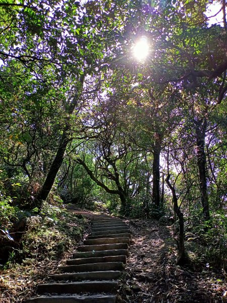 【基隆-臺灣百大步道】姜子寮山和泰安瀑布1268263