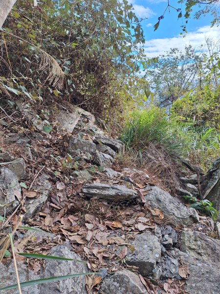 雪見駐在所+雪見山202512252971641