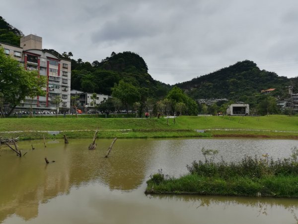 與母親爬山—虎山步道群/探訪秘境黃蟬園895160