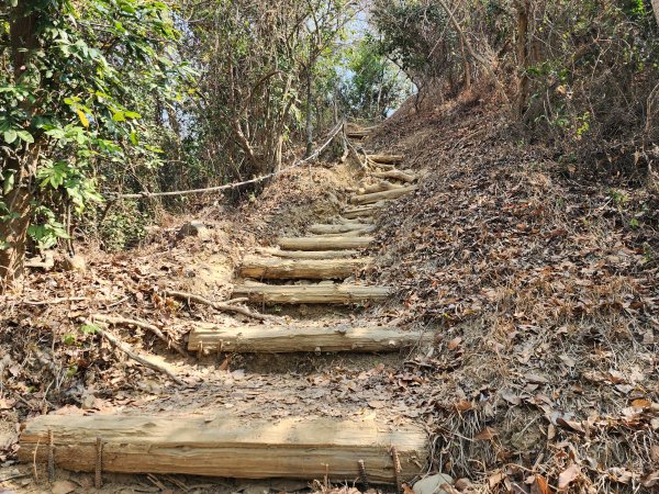 小百岳No.72⛰旗尾山3025196