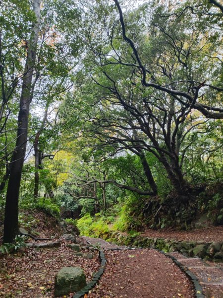 2026年元旦升旗快閃七星順探紫明溪2973996