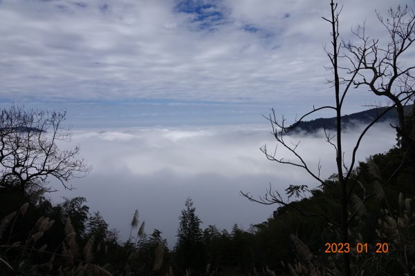 苗栗 南庄 鹿山、鹿坑山2001826