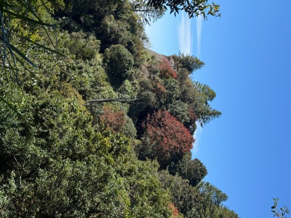 1141215塔山步道2962697