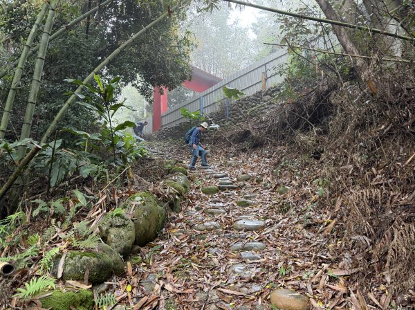 [樟之細路_第一大段RSA06] 2026_0329 打牛崎古道3027158