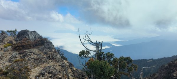 20240320 馬博8天縱走~第五天，馬里亞文路山，馬利加南山2471224