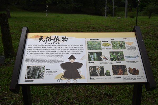 2025_0712 福山植物園2836181