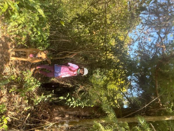 月眉山、海鼠山、生毛樹山、野薑花步道、進學古道3020754